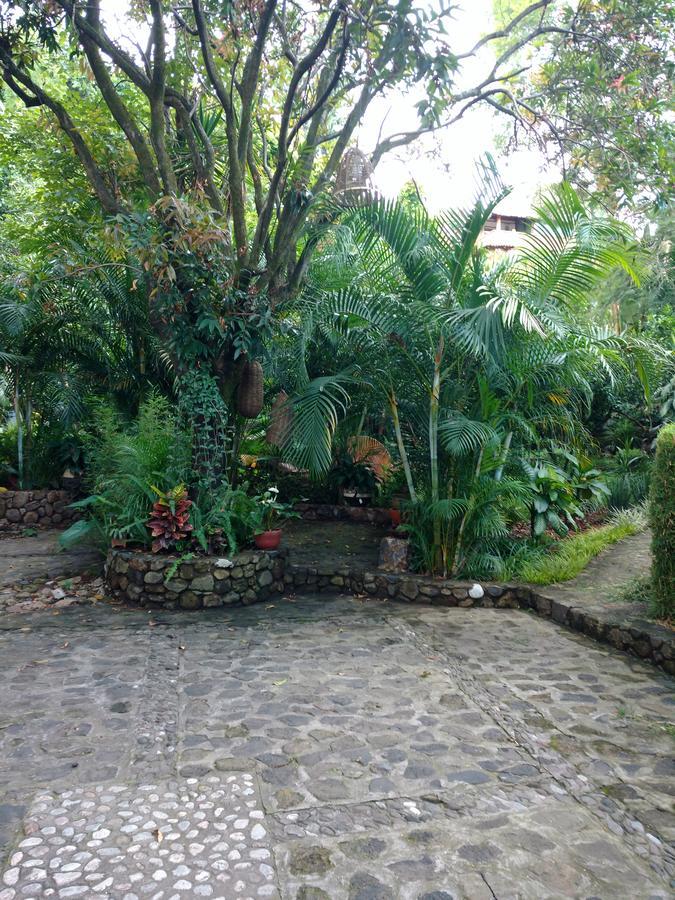 Casa d'Lobo Hotel Boutique Malinalco Extérieur photo